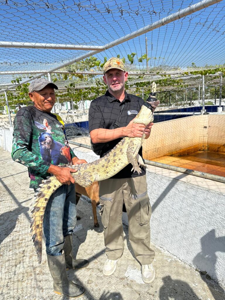 crocodile conservation in Venezuela