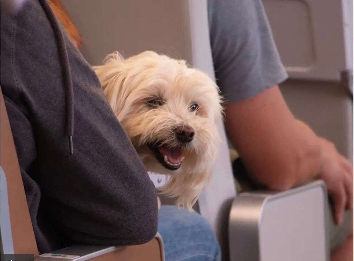 WhatsApp Image 2026 01 09 at 14.42.20