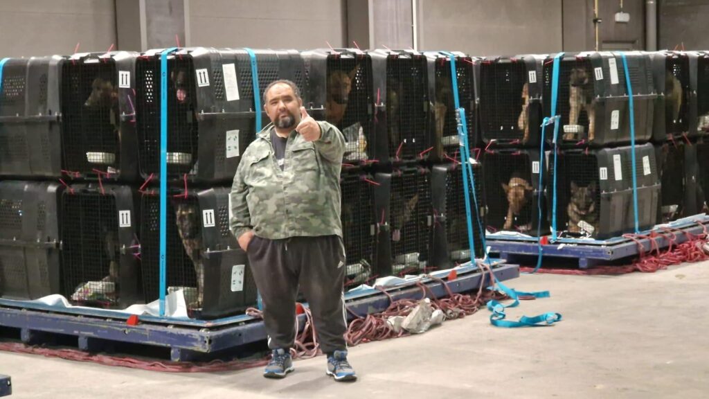 Dogs being moved for Military